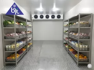 Cold Storage Chiller